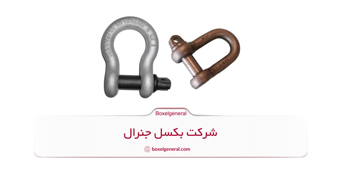 ساختار انواع شگل چگونه است؟