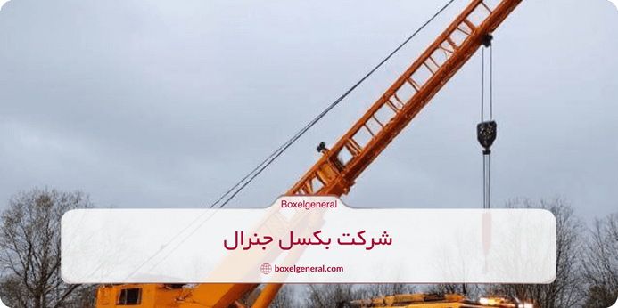 انواع تیفور و ویژگی های آنها 