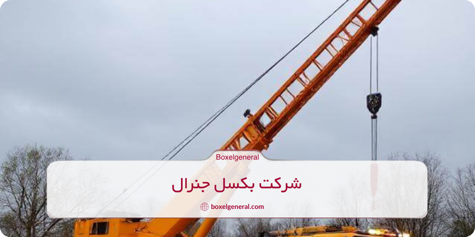 انواع تیفور و ویژگی های آنها 