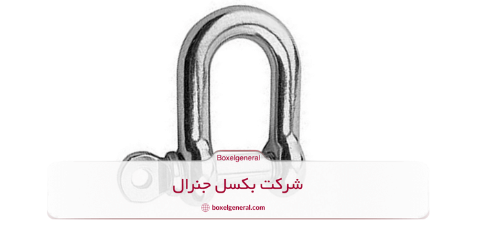 انواع شگل سایز از نظر شکل و ساختار