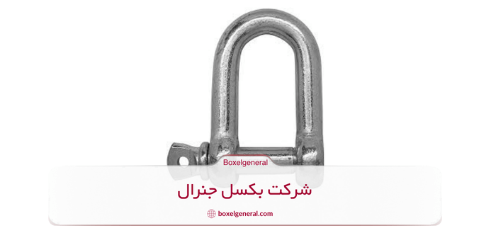 شگل D شکل
