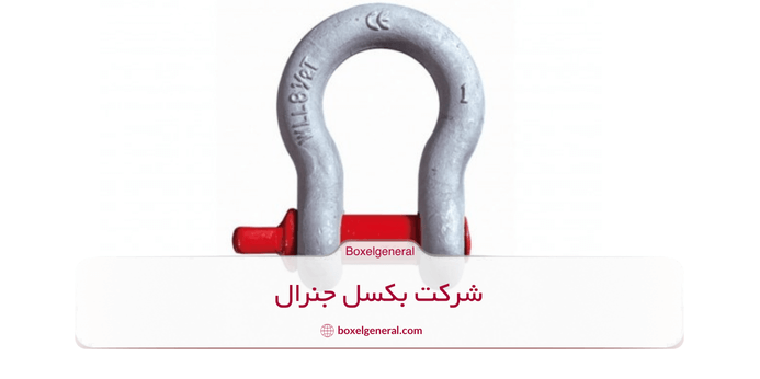 شگل D شکل