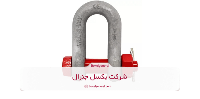 مقایسه شگل D کوچک و بزرگ در میان انواع شگل