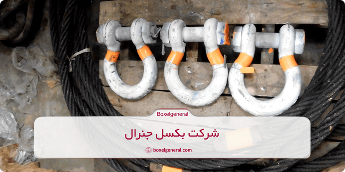انواع شگل ها